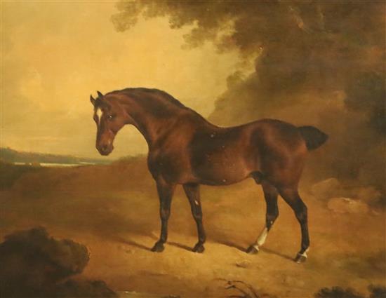 Early 19th century English School Brown horse in a landscape 18 x 23.25in.